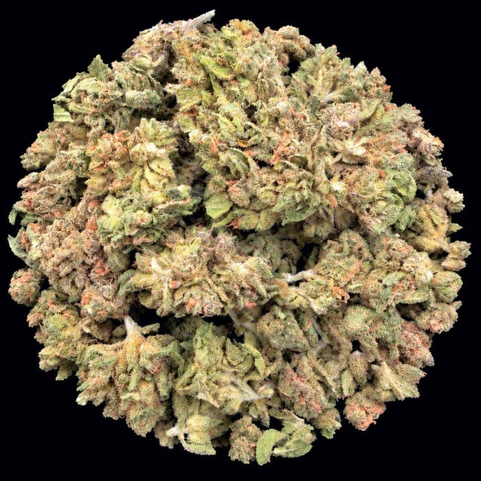 Pink Ztarburst THCA Flower - Lost In Translation