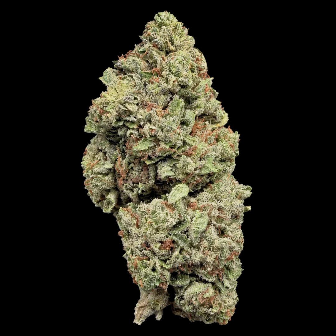 Platinum Cookies THCA Flower - Lost In Translation