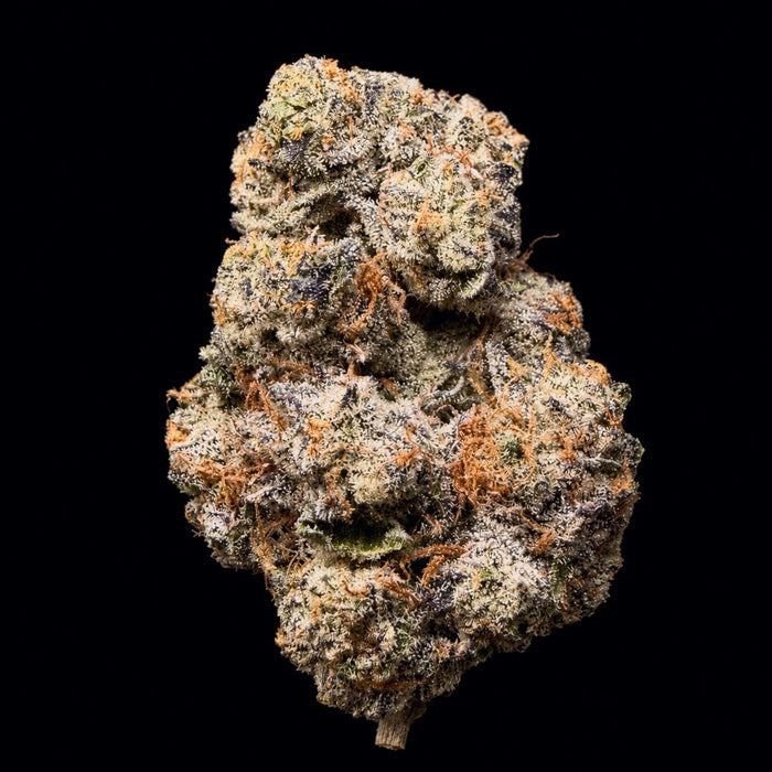 Pluto 85 THCA Flower - Lost In Translation