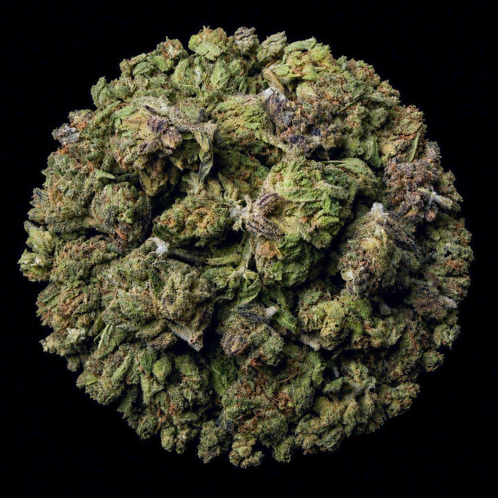 Pop Rocket THCA Flower - Lost In Translation