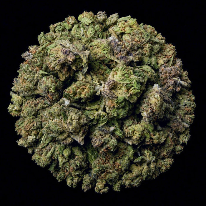 Pop Rocket THCA Flower - Lost In Translation