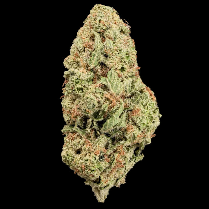 Porcelain Gas THCA Flower