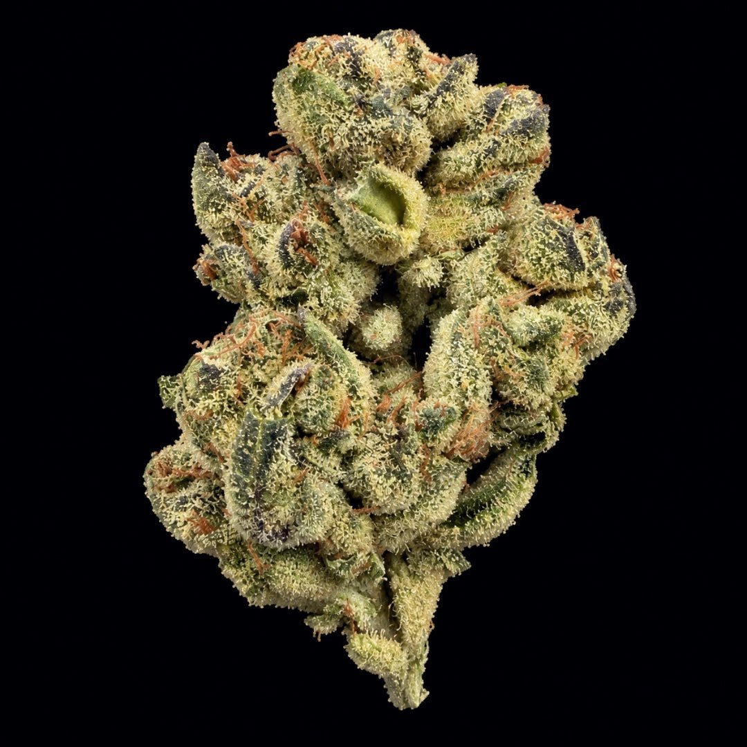 Potty Mouth THCA Flower - Lost In Translation