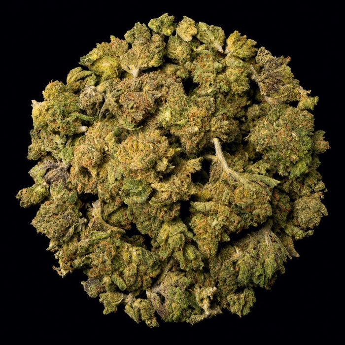 Potty Mouth THCA Flower - Lost In Translation