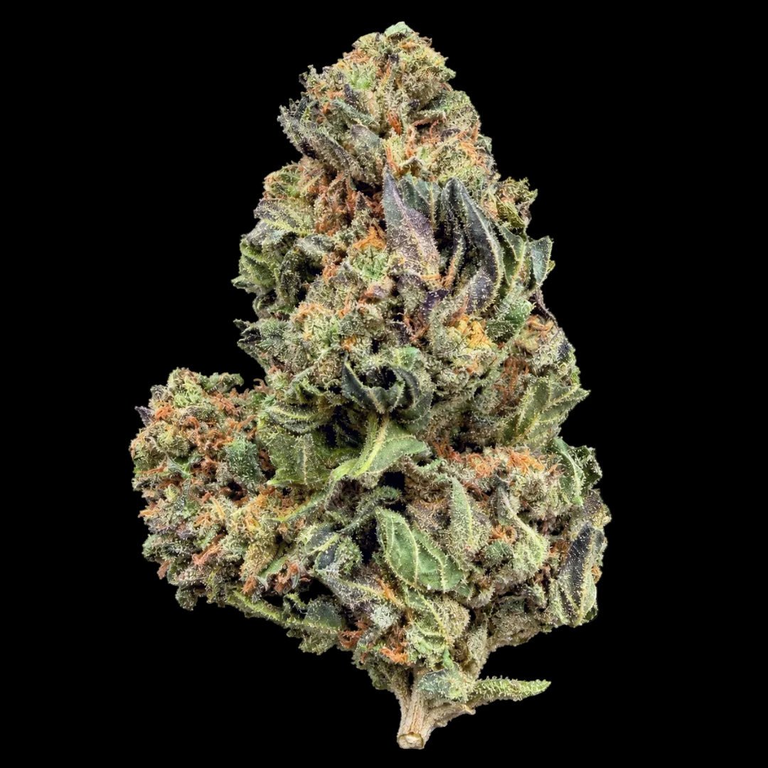 Purple Candy THCA Flower - Lost In Translation