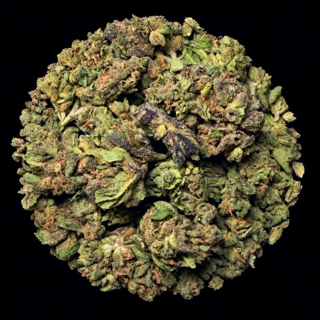 Purple Push Pop THCA Flower - Lost In Translation