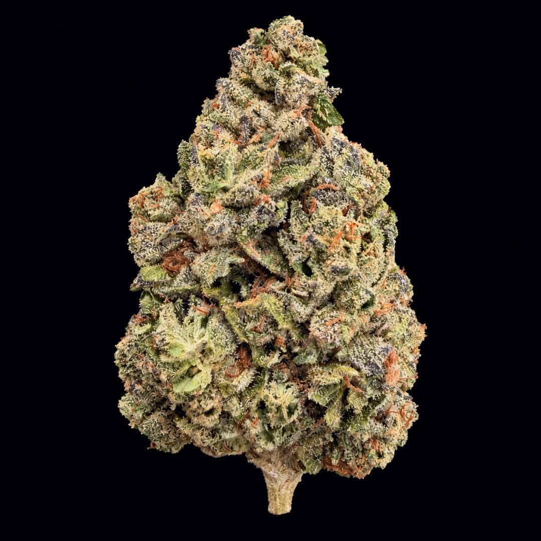 Rainbow Belts THCA Flower - Lost In Translation