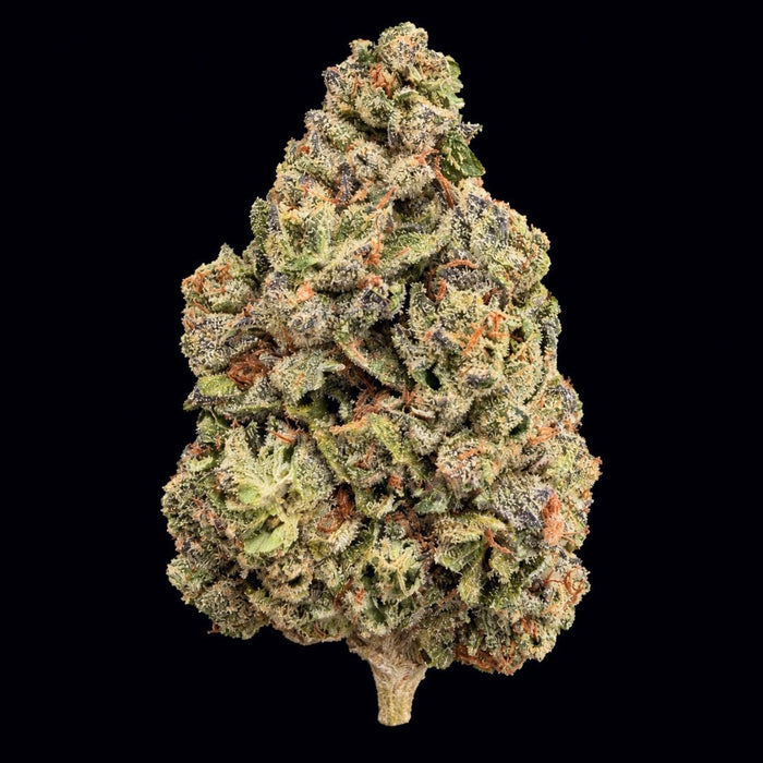 Rainbow Belts THCA Flower - Lost In Translation
