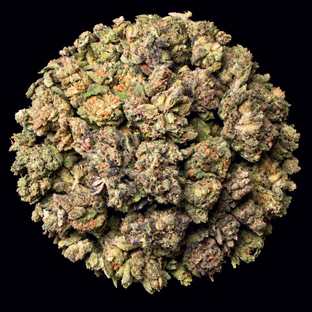 Rainbow Candy THCA Flower - Lost In Translation