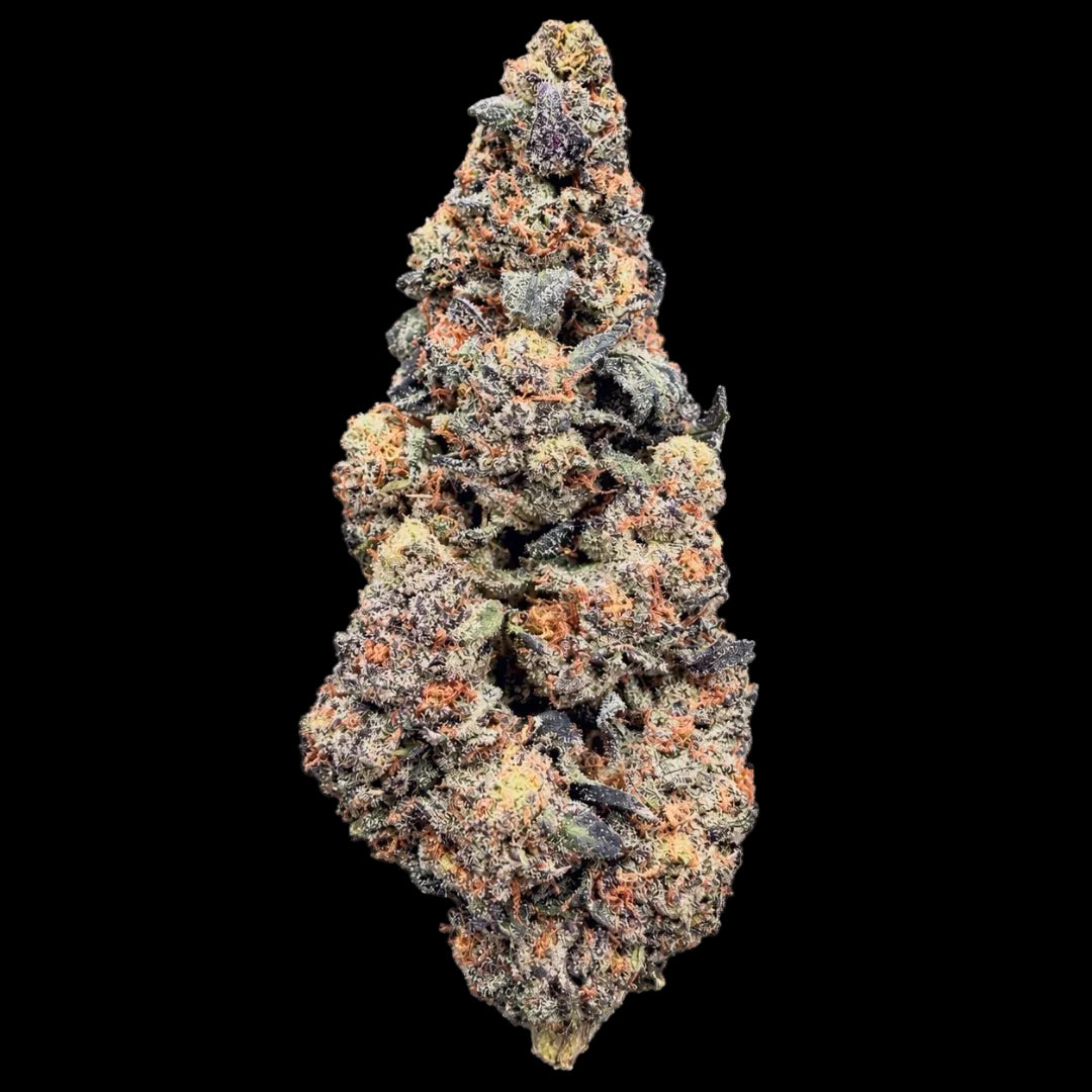 Rainbow Marker THCA Flower - Lost In Translation