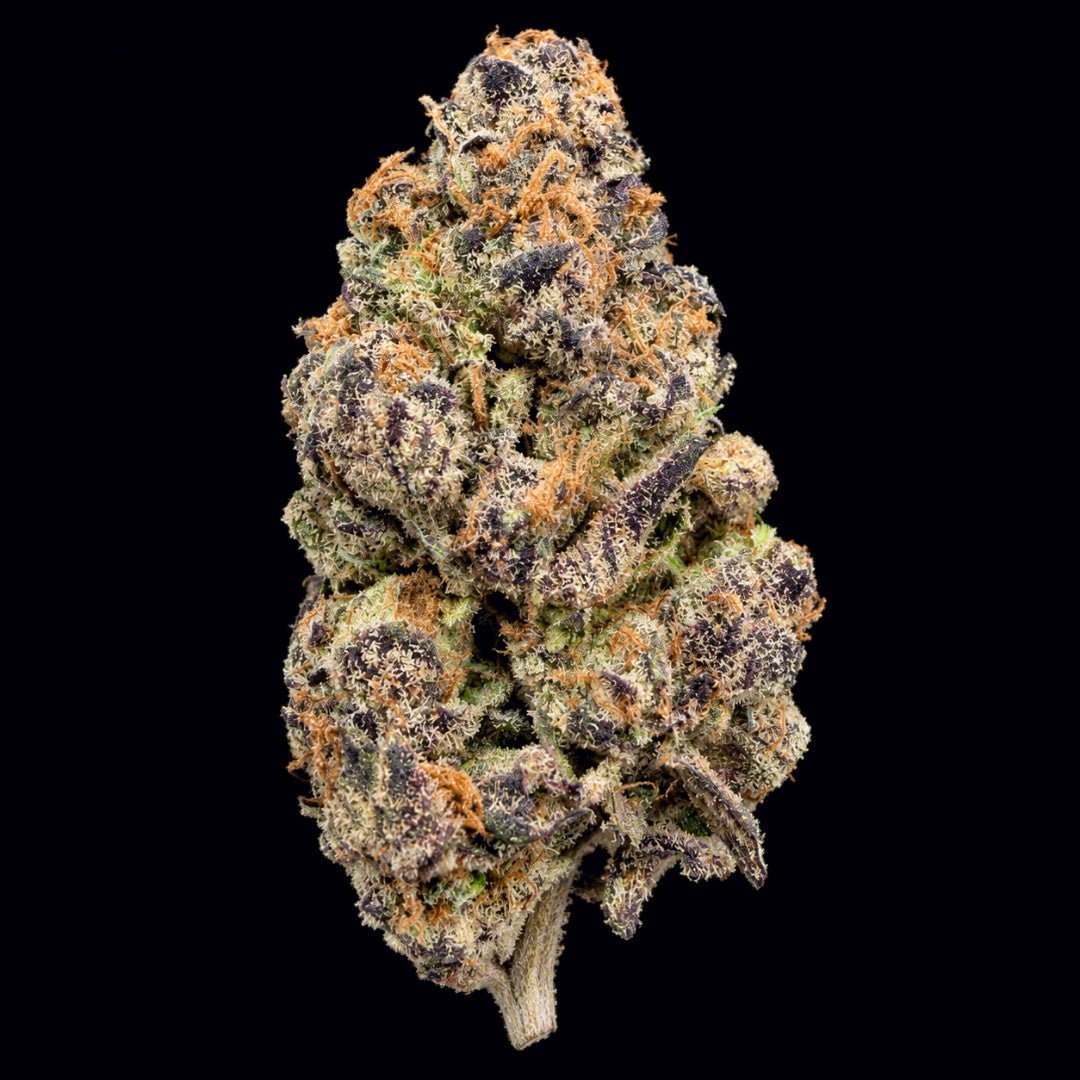 Rainbow Marker THCA Flower - Lost In Translation