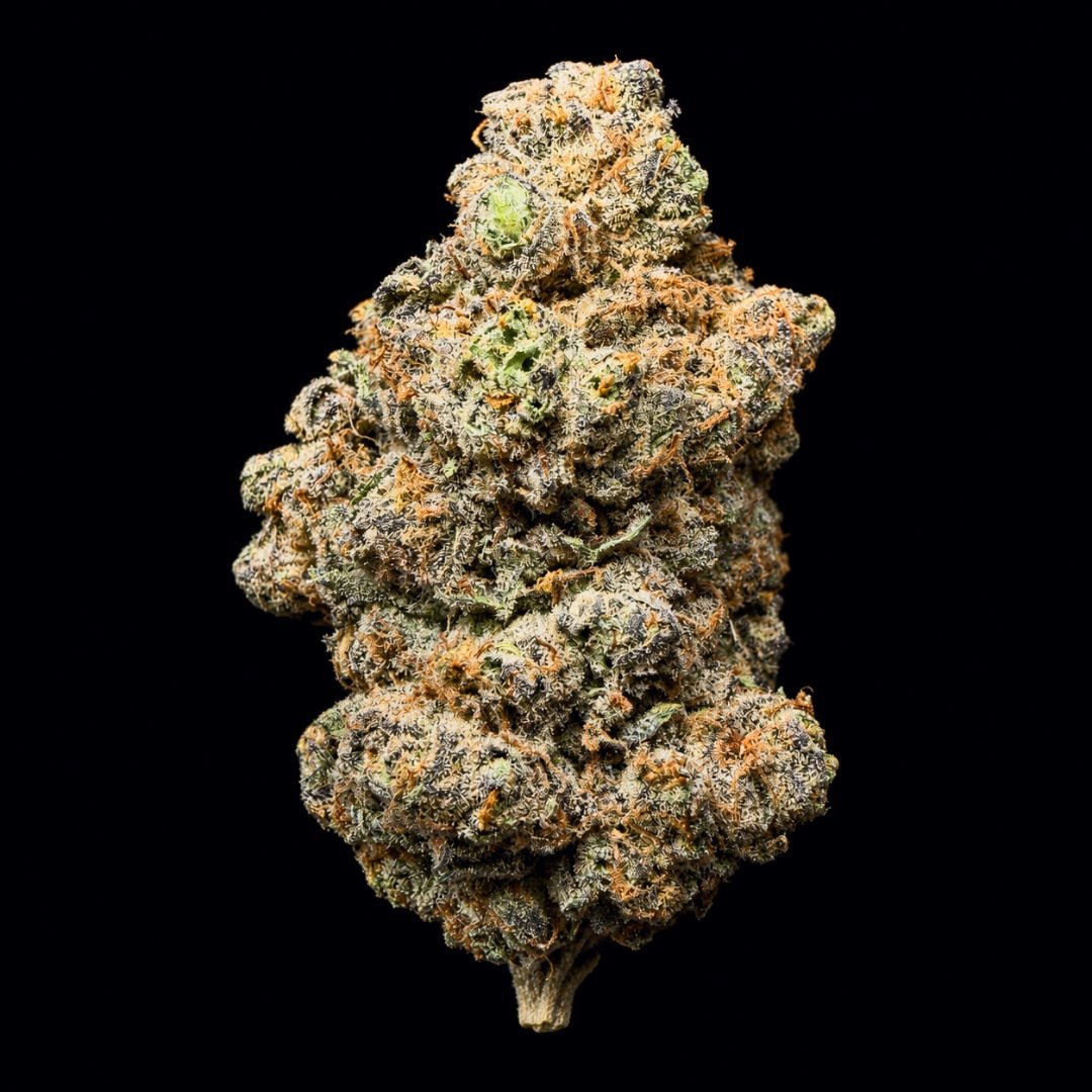 Rainbow Runtz THCA Flower - Lost In Translation