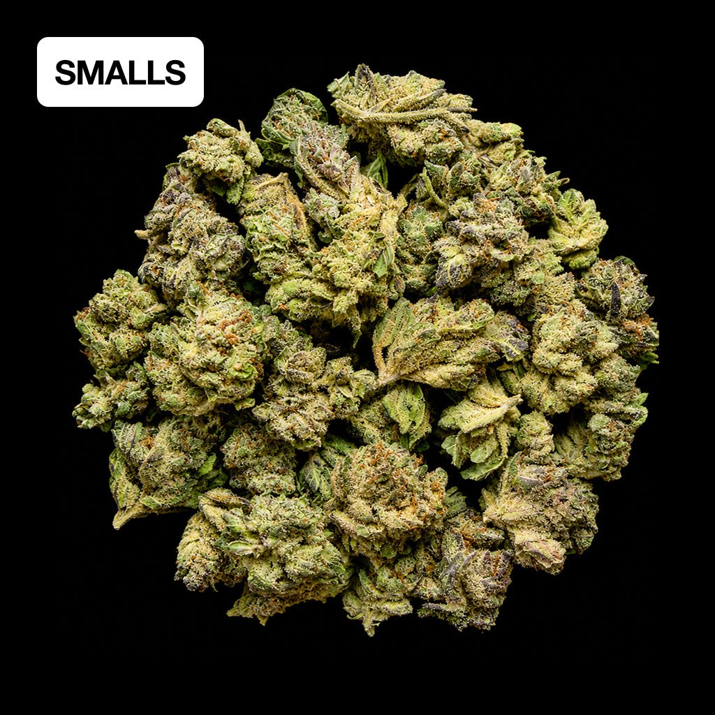 Rainbow Runtz THCA Flower - Lost In Translation