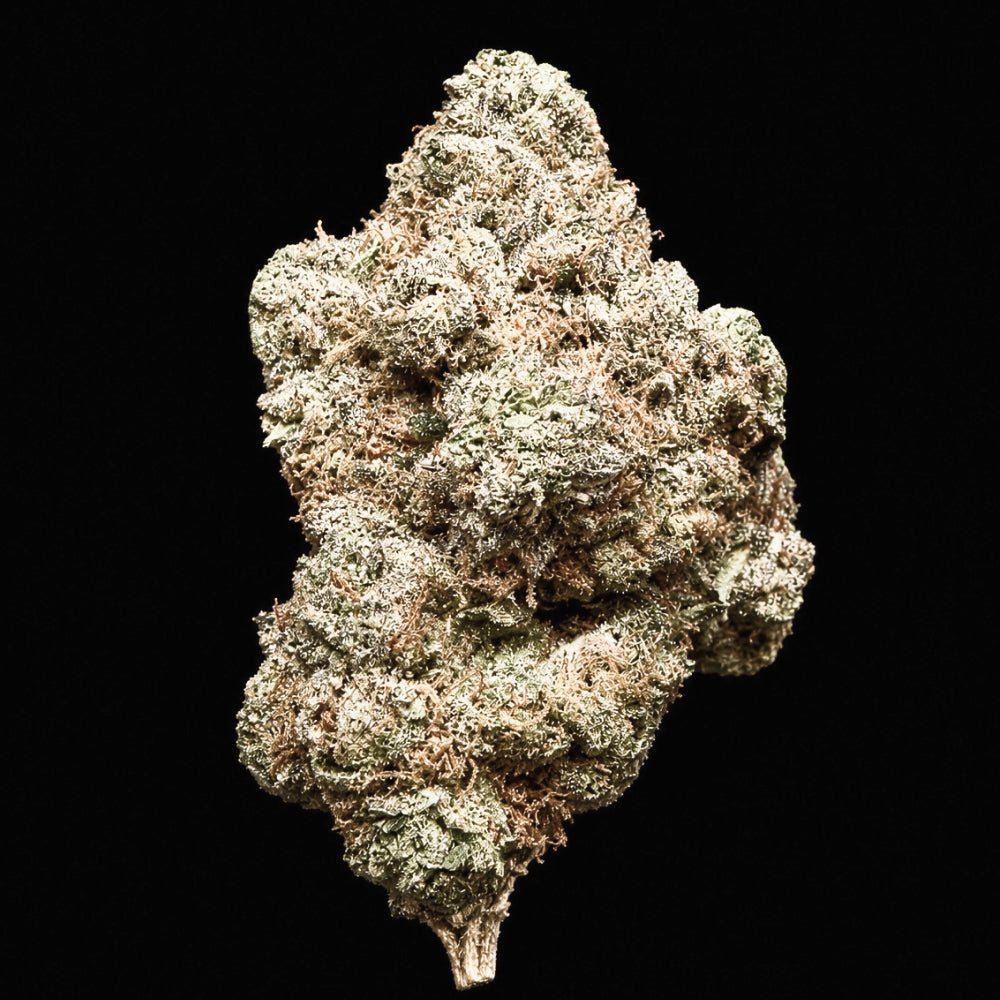 Rainbow Runtz THCA Flower - Lost In Translation