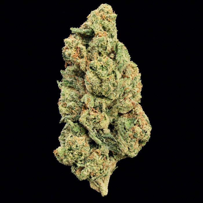 Richboy Runtz THCA Flower - Lost In Translation