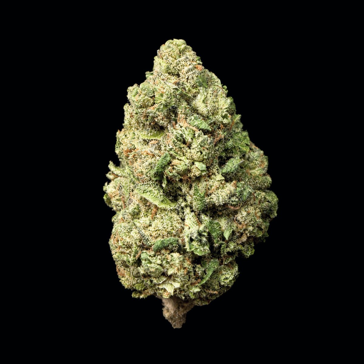 Richboy Runtz THCA Flower - Lost In Translation