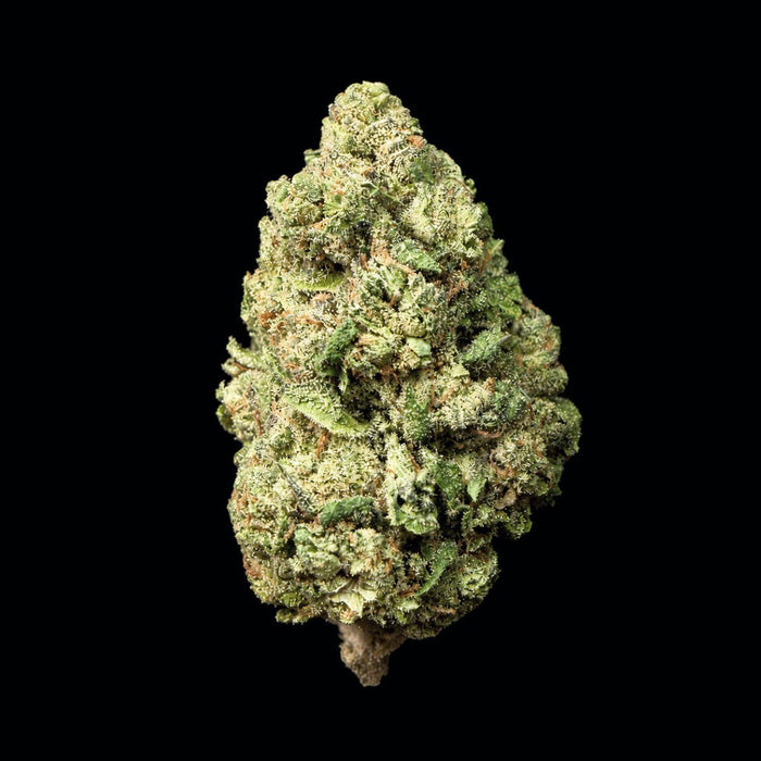 Richboy Runtz THCA Flower - Lost In Translation