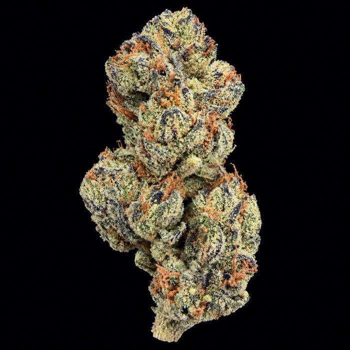 Rocket Fuel THCA Flower - Lost In Translation
