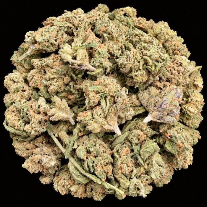 Rocket Fuel THCA Flower - Lost In Translation