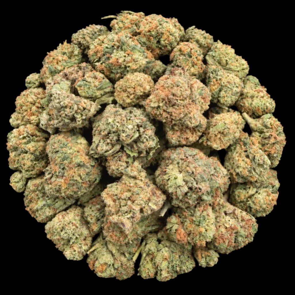 SFV OG THCA Flower - Lost In Translation