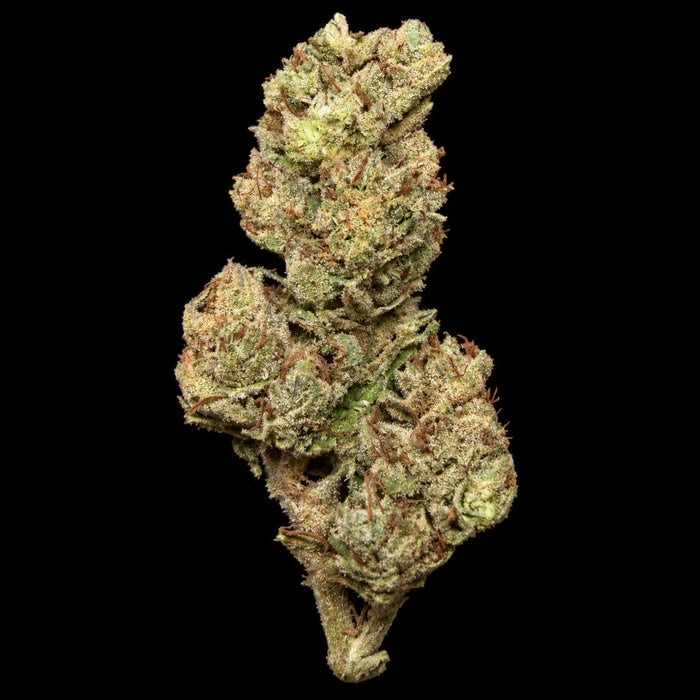 SFV OG THCA Flower - Lost In Translation