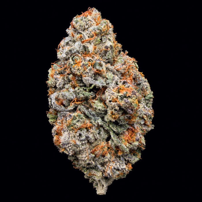 Sherbert THCA Flower - Lost In Translation