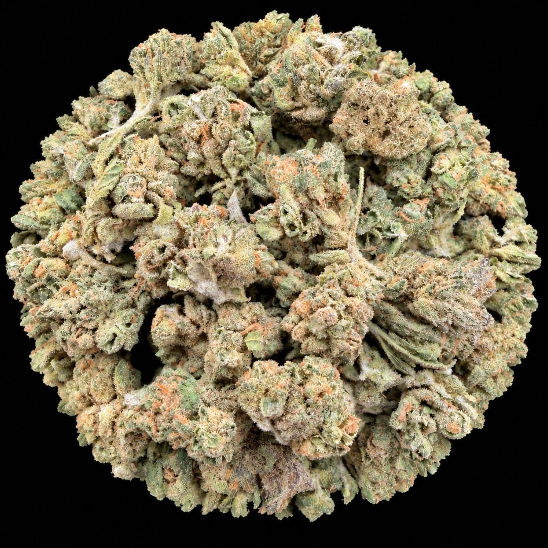 Snowman THCA Flower - Lost In Translation