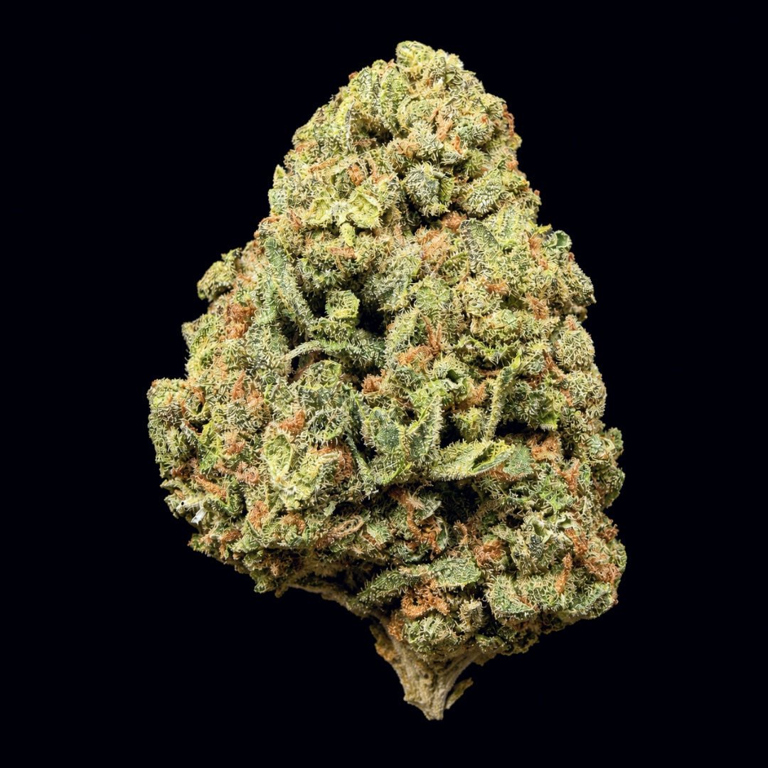 Sour Apple THCA Flower - Lost In Translation