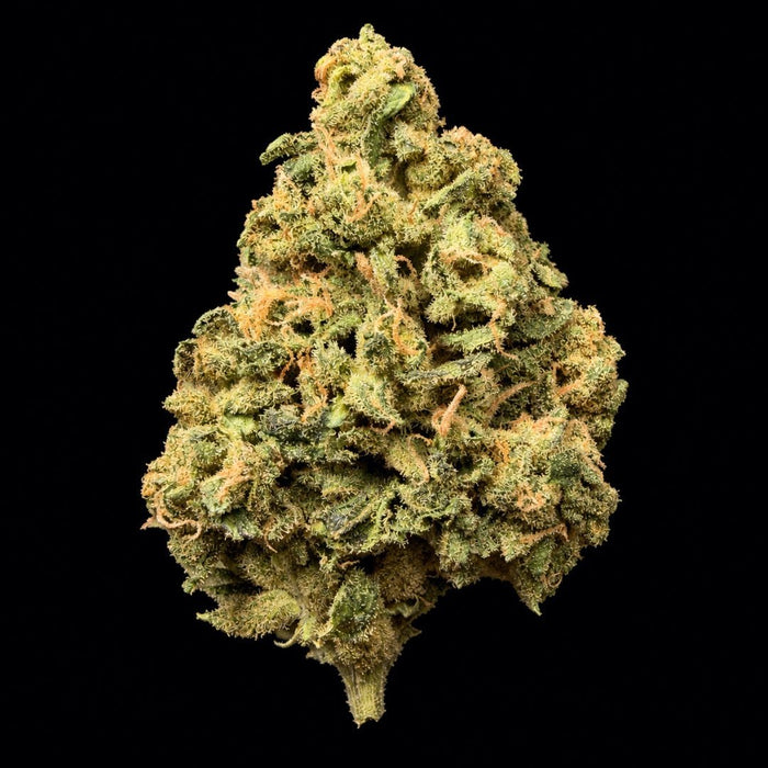 Banana Punch THCA Flower - Lost In Translation