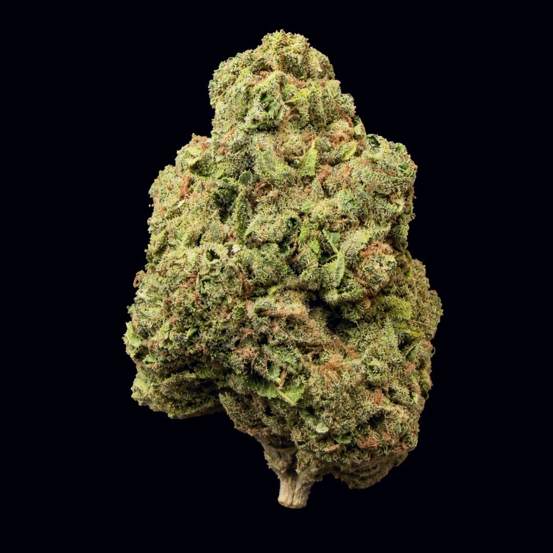 Sour Lemon THCA Flower - Lost In Translation