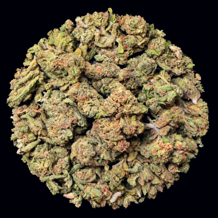 Strawberry Mimosa THCA Flower