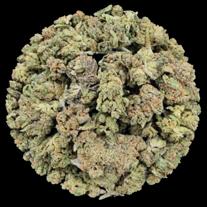 Sub Zero THCA Flower - Lost In Translation