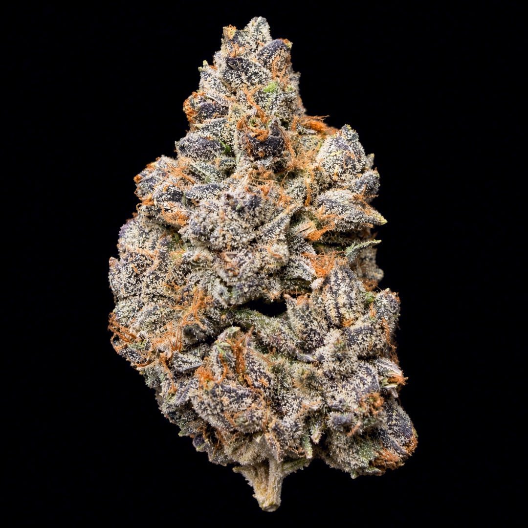 Sugar Tab THCA Flower - Lost In Translation