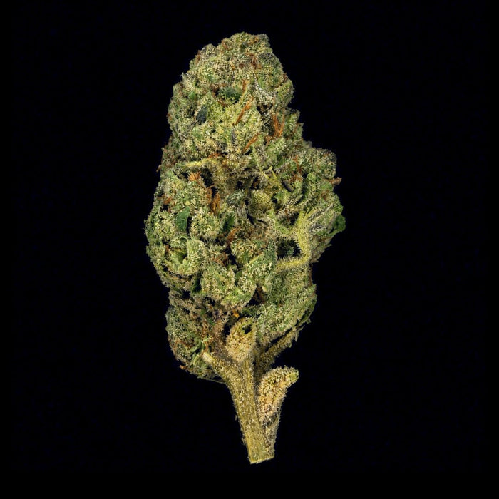 Sunset Sherb THCA Flower - Lost In Translation