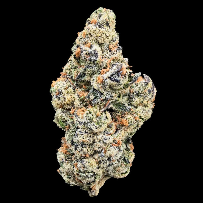 Sunset Sherb THCA Flower - Lost In Translation