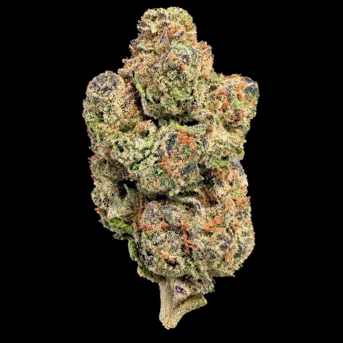 Sunset Sherb THCA Flower - Lost In Translation