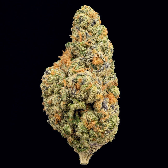 Sunset Sherb THCA Flower - Lost In Translation