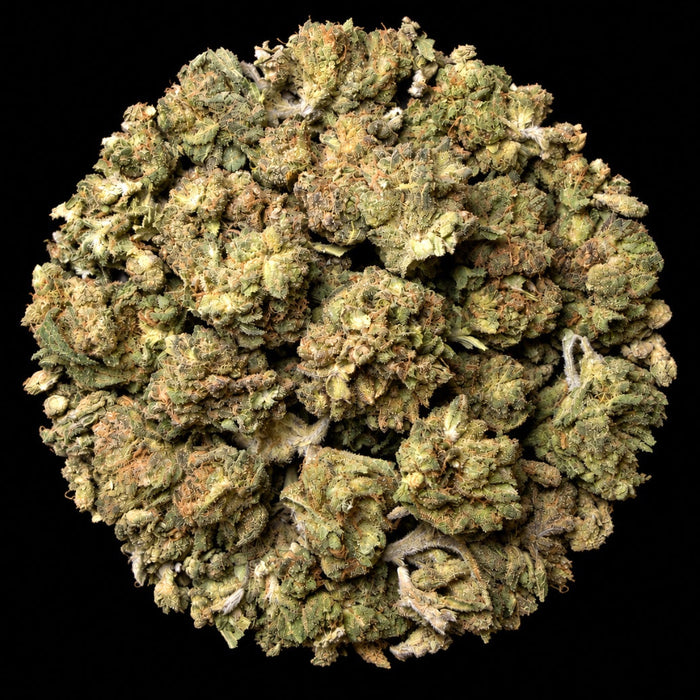Super Boof THCA Flower