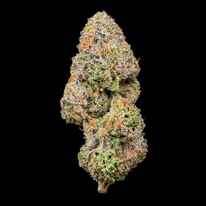 Super Runtz THCA Flower - Lost In Translation