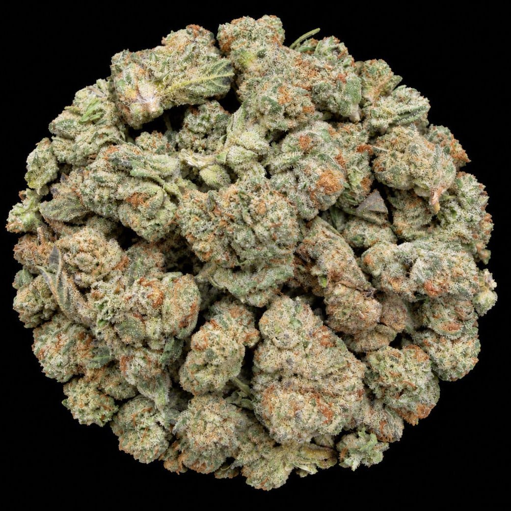 Thin Mint Cookies THCA Flower - Lost In Translation