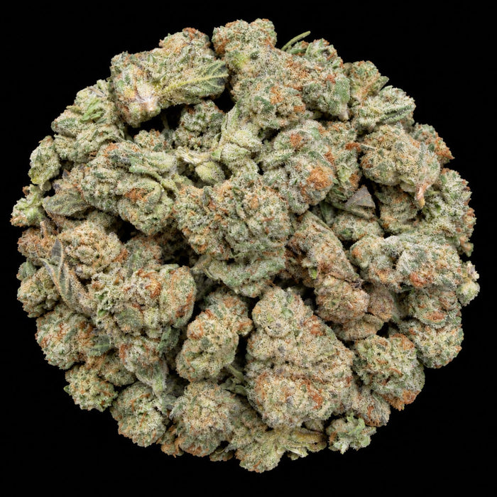 Thin Mint Cookies THCA Flower