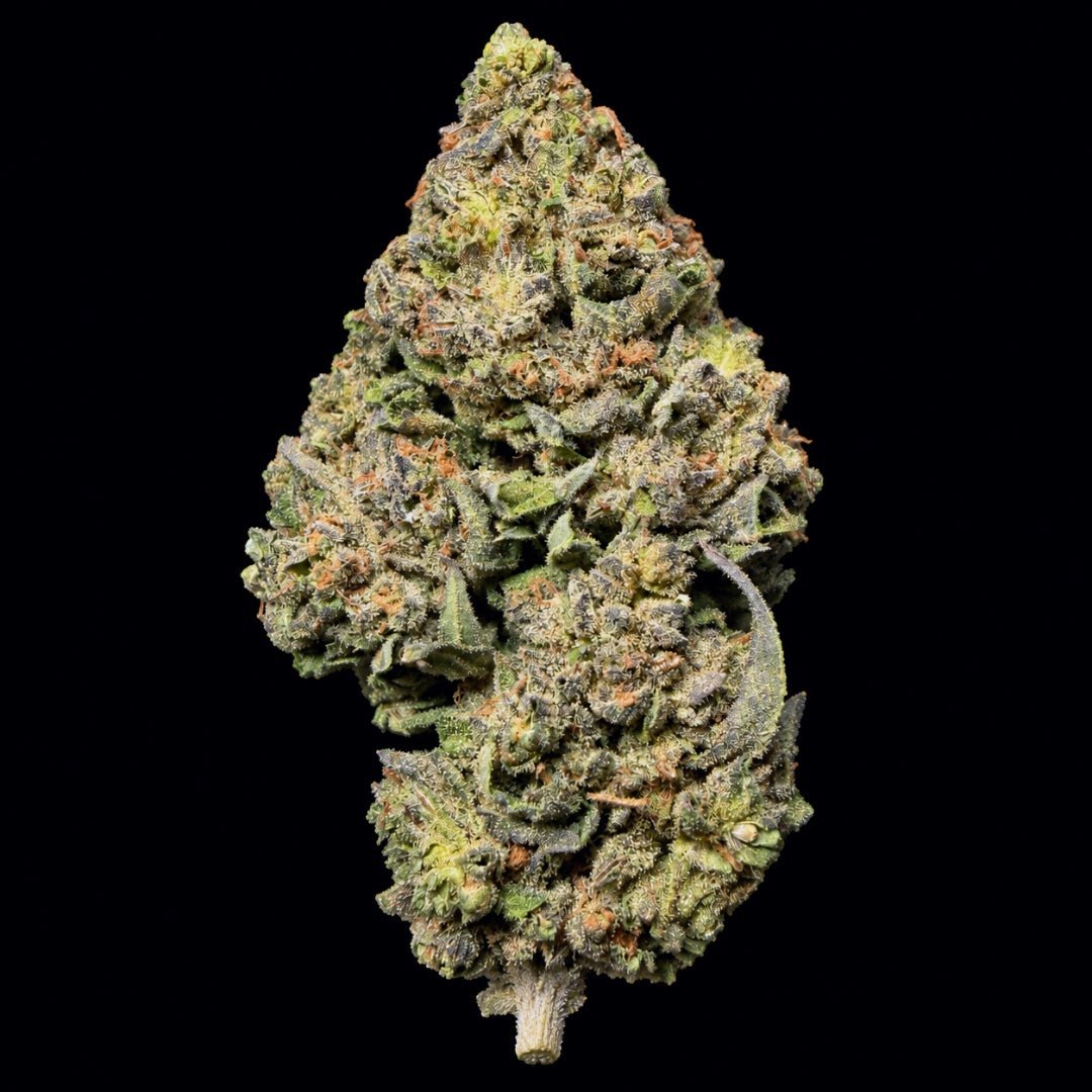 Triple Blue Slushie THCA Flower - Lost In Translation