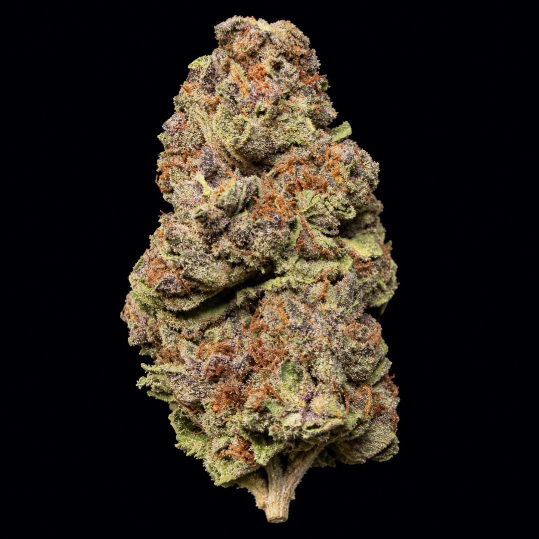 Tropicana Cherry THCA Flower - Lost In Translation