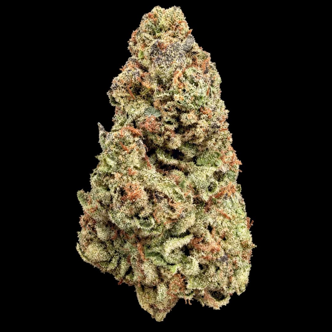 Truffle Cake THCA Flower - Lost In Translation