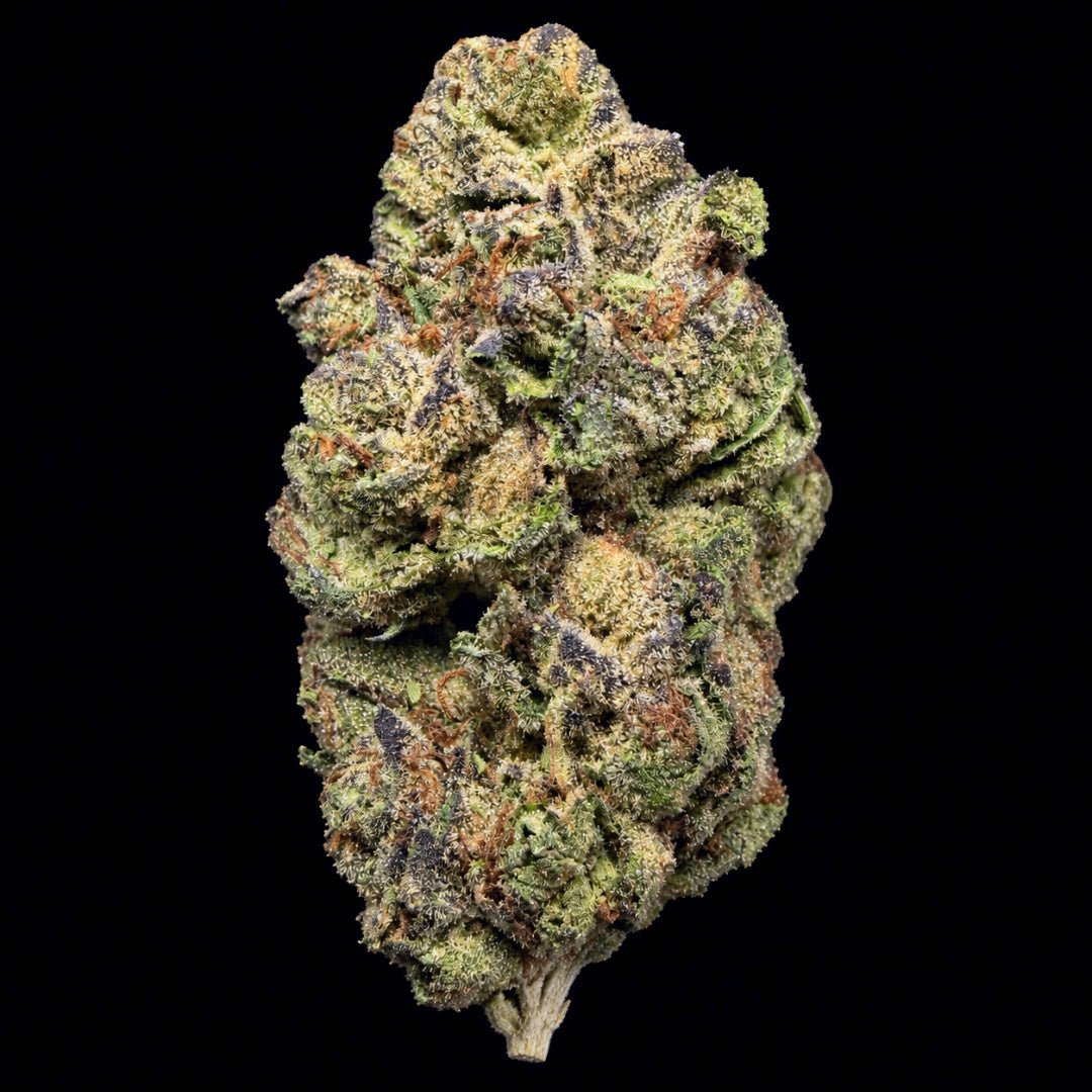 Vanilla Cream Cake THCA Flower - Lost In Translation