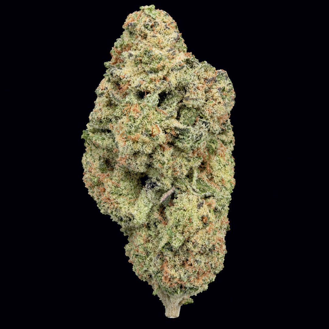 Venom Runtz THCA Flower - Lost In Translation