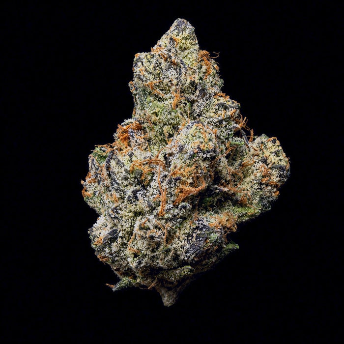 Warheads THCA Flower - Lost In Translation