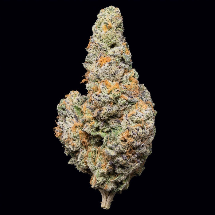 Warheads THCA Flower - Lost In Translation