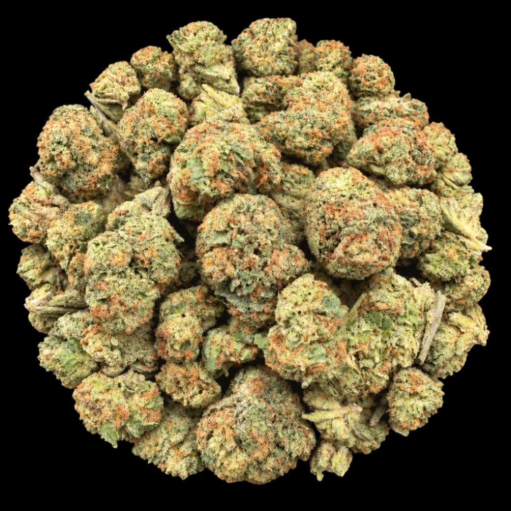 Watermelon Mimosa THCA Flower - Lost In Translation
