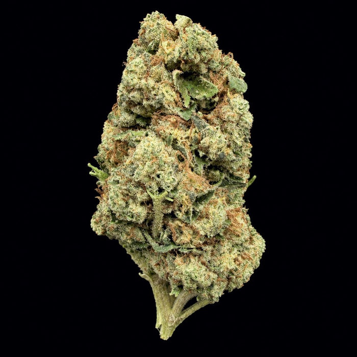 Wedding Pie THCA Flower - Lost In Translation